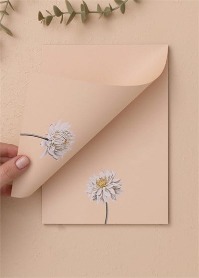 The Mia Art Line Mini Notluk Dahlia 15 x 21 cm 40 Yaprak