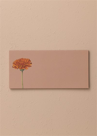 The Mia Art Line Mini Notluk Marigold 10 x 21 cm 40 Yaprak