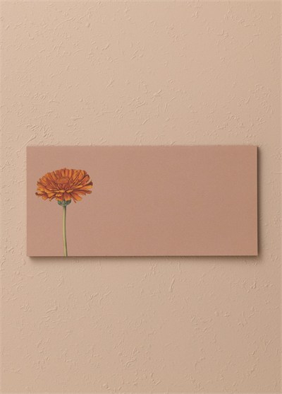 The Mia Art Line Mini Notluk Marigold 10 x 21 cm 40 Yaprak