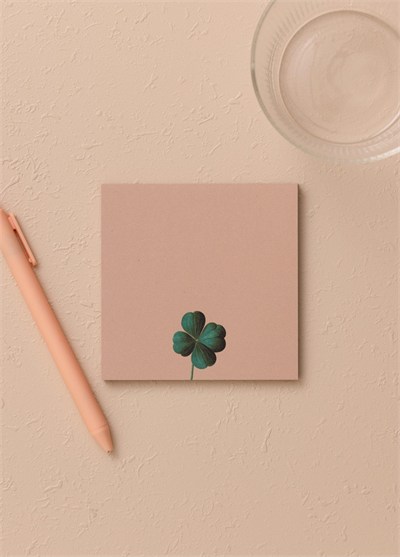 The Mia Art Line Mini Notluk Paul 10 x 10 cm 40 Yaprak