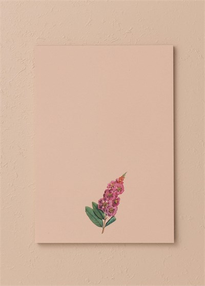 The Mia Art Line Mini Notluk Prelude 15 x 21 cm 40 Yaprak