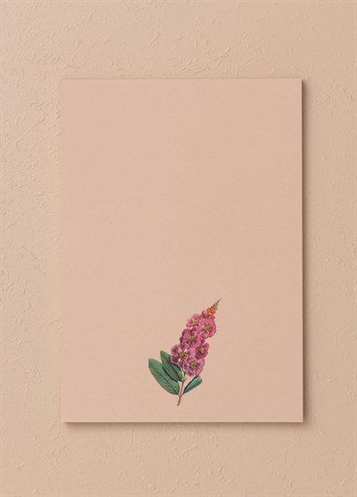The Mia Art Line Mini Notluk Prelude 15 x 21 cm 40 Yaprak