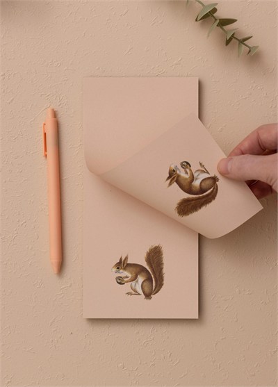 The Mia Art Line Mini Notluk Squirrel 10 x 21 cm 40 Yaprak