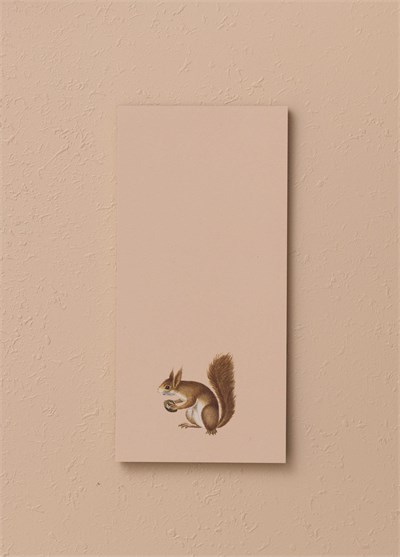 The Mia Art Line Mini Notluk Squirrel 10 x 21 cm 40 Yaprak