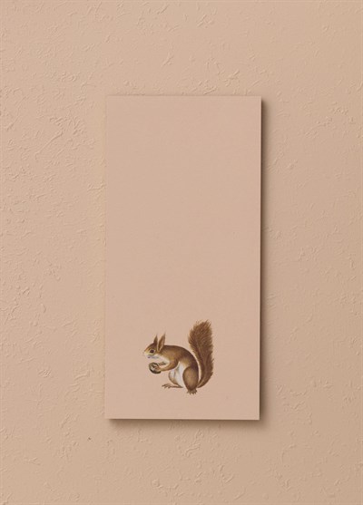 The Mia Art Line Mini Notluk Squirrel 10 x 21 cm 40 Yaprak