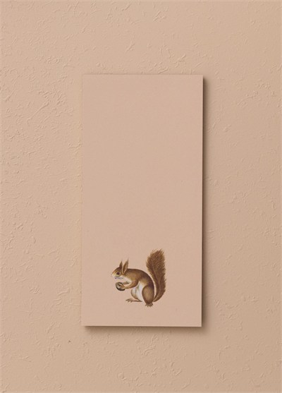 The Mia Art Line Mini Notluk Squirrel 10 x 21 cm 40 Yaprak