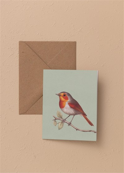 The Mia Art Line Mini Tebrik Kart Seti Robin 9x12 cm