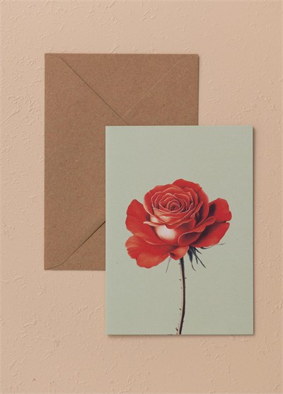 The Mia Art Line Mini Tebrik Kart Seti Rose 10 x 14 cm