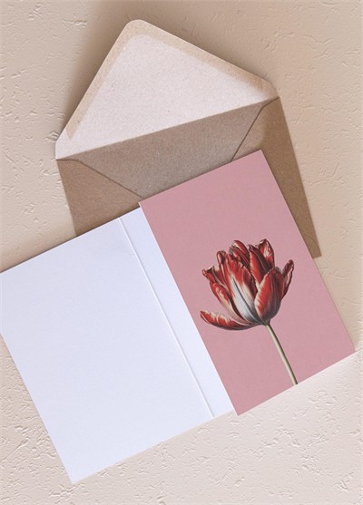 The Mia Art Line Mini Tebrik Kart Seti Tulip10 x 14 cm