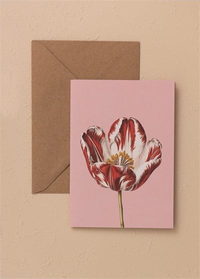 The Mia Art Line Mini Tebrik Kart Seti Tulip10 x 14 cm