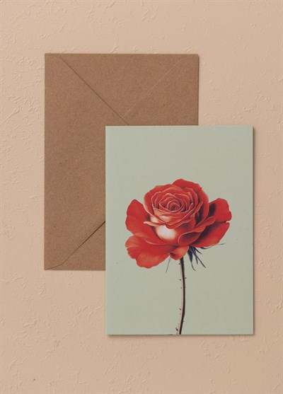 The Mia Art Line Mini Tebrik Kart Seti Rose 10 x 14 cm
