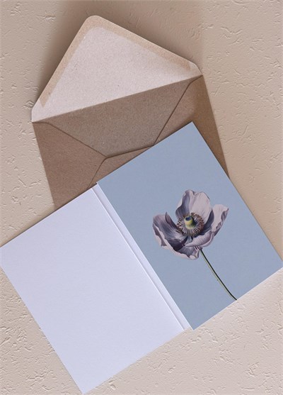 The Mia Art Line Mini Tebrik Kart Seti Anemone 10 x 14 cm