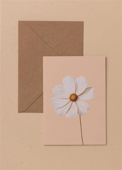 The Mia Art Line Mini Tebrik Kart Seti Cosema 10 x 14 cm