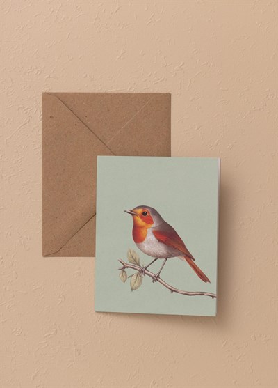 The Mia Art Line Mini Tebrik Kart Seti Robin 9x12 cm
