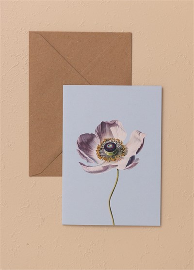 The Mia Art Line Mini Tebrik Kart Seti Anemone 10 x 14 cm