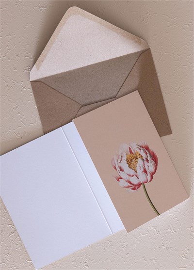 The Mia Art Line Mini Tebrik Kart Seti Peonie 10 x 14 cm