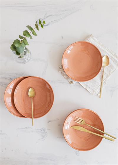 The Mia Noon Yemek Tabağı 6lı Somon 20 cm