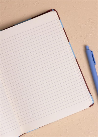 The Mia Mavi Bordo Desenli Defter 16 x 21 cm