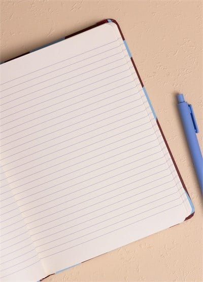 The Mia Mavi Bordo Desenli Defter 16 x 21 cm