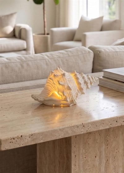 The Mia Marin LED Aydınlatmalı Deniz Salyangozu 12 cm