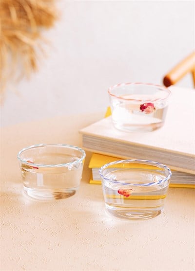 The Mia Simple Dondurmalık Tatlı Sunum Kasesi 6 Parça 150 ml