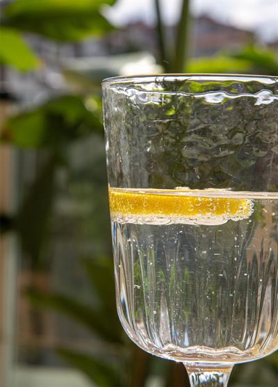 The Mia Steamy Şarap Kadehi 6lı Set 340 ml