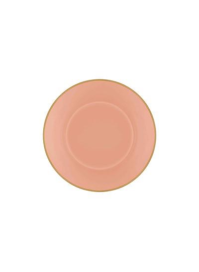 The Mia Basic Kase 6 Lı Set Somon Pembe - 15 cm