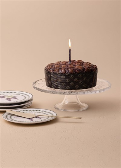 The Mia Ayaklı Pasta Kek Fanusu 30x24 cm CAM0497