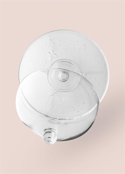 The Mia Ayaklı Pasta Kek Fanusu 30x24 cm CAM0497