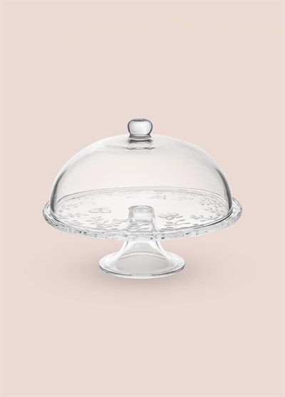 The Mia Ayaklı Pasta Kek Fanusu 30x24 cm CAM0497