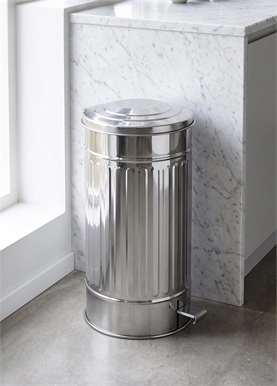 The Mia Çöp Kovası Krom 24 Lt