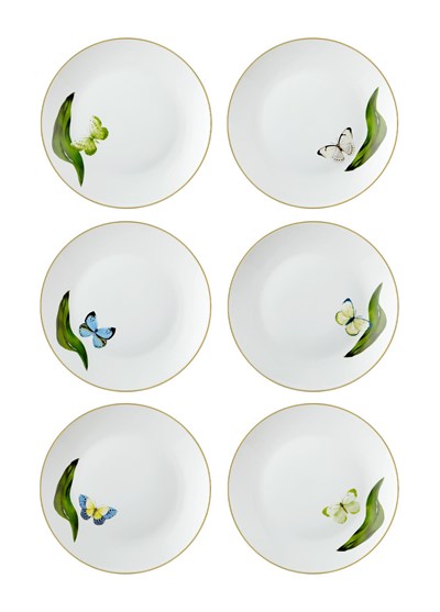 The Mia Folium Pasta Tabağı 6 Kişilik