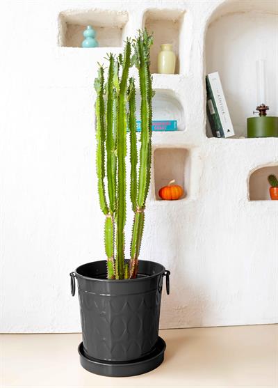 The Mia Prizma Saksı Siyah 33x25x33 cm