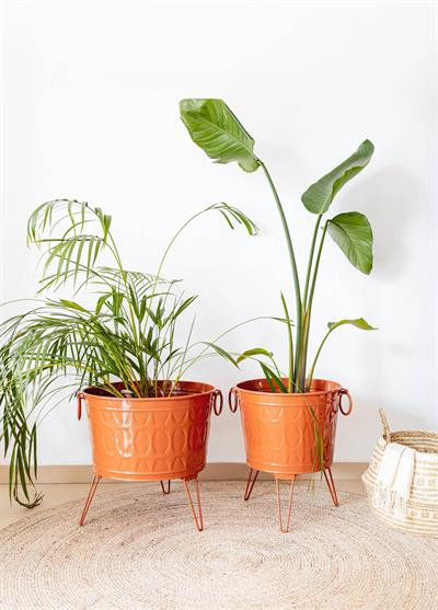 The Mia Prizma Vazo Saksı Terracota 35x45 cm