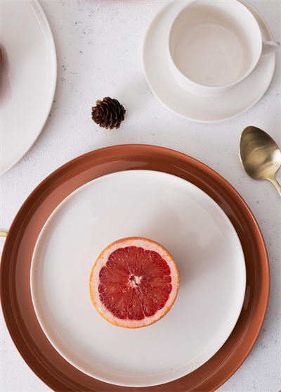 The Mia Cotta Limoges Servis Tabağı Terracota 27 cm CTT027