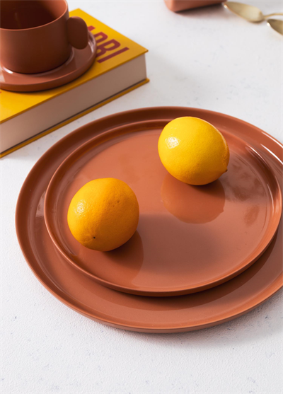 The Mia Cotta Limoges Servis Tabağı Terracota 27 cm CTT027