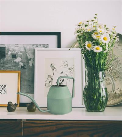 The Mia Sulama Kabı 1,2 Lt Yeşil