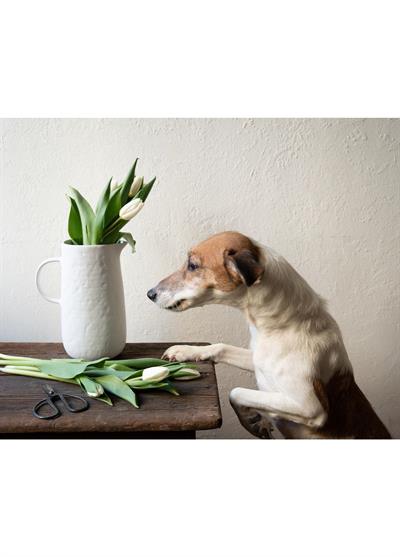 The Mia Pure Dekoratif Vazo 18x13x23 cm