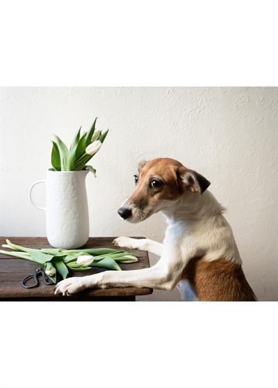 The Mia Pure Dekoratif Vazo 18x13x23 cm