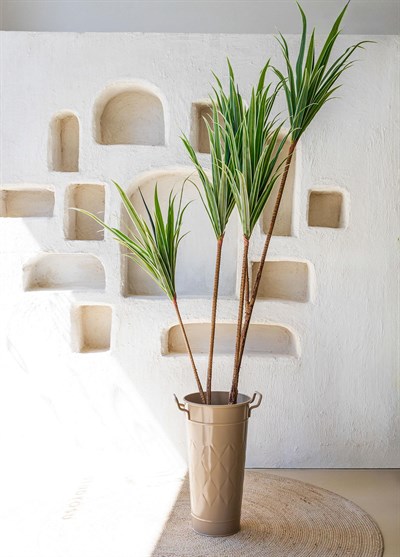 The Mia Dracaena Yapay Ağaç 4 Dallı 180 cm