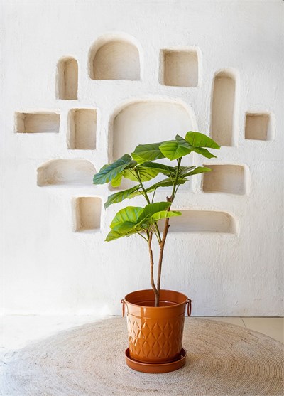 The Mia Ficus Umbellata Yapay Ağaç Yeşil 4 Dallı 120 cm