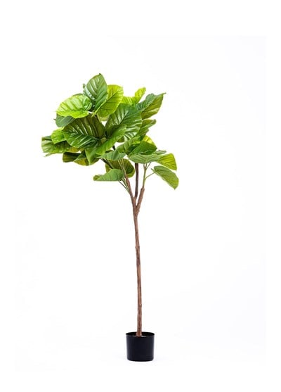 The Mia Ficus Umbellata Yapay Ağaç Yeşil 4 Dallı 150 cm