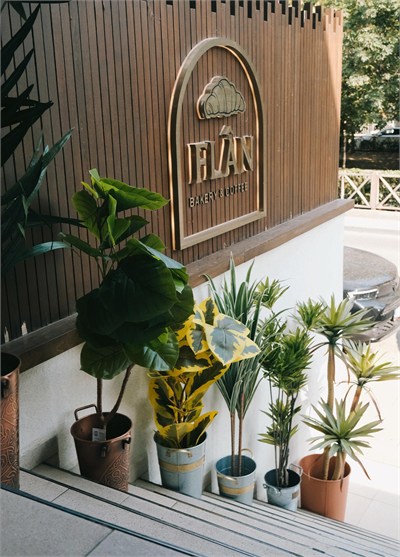 The Mia Ficus Altissima Yapay Ağaç Sarı Yeşil 6 Dal 170 cm