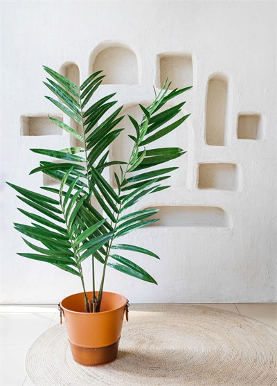 The Mia Kentia Palmiyesi Yapay Ağaç Yeşil 5 Dallı 150 cm
