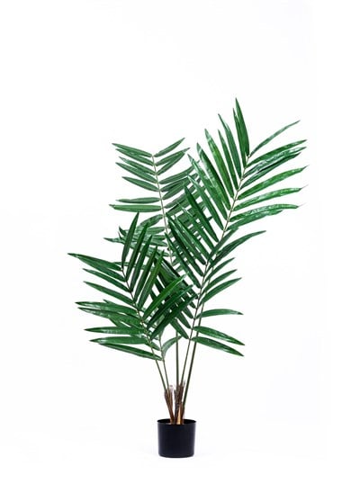 The Mia Kentia Palmiyesi Yapay Ağaç Yeşil 5 Dallı 150 cm
