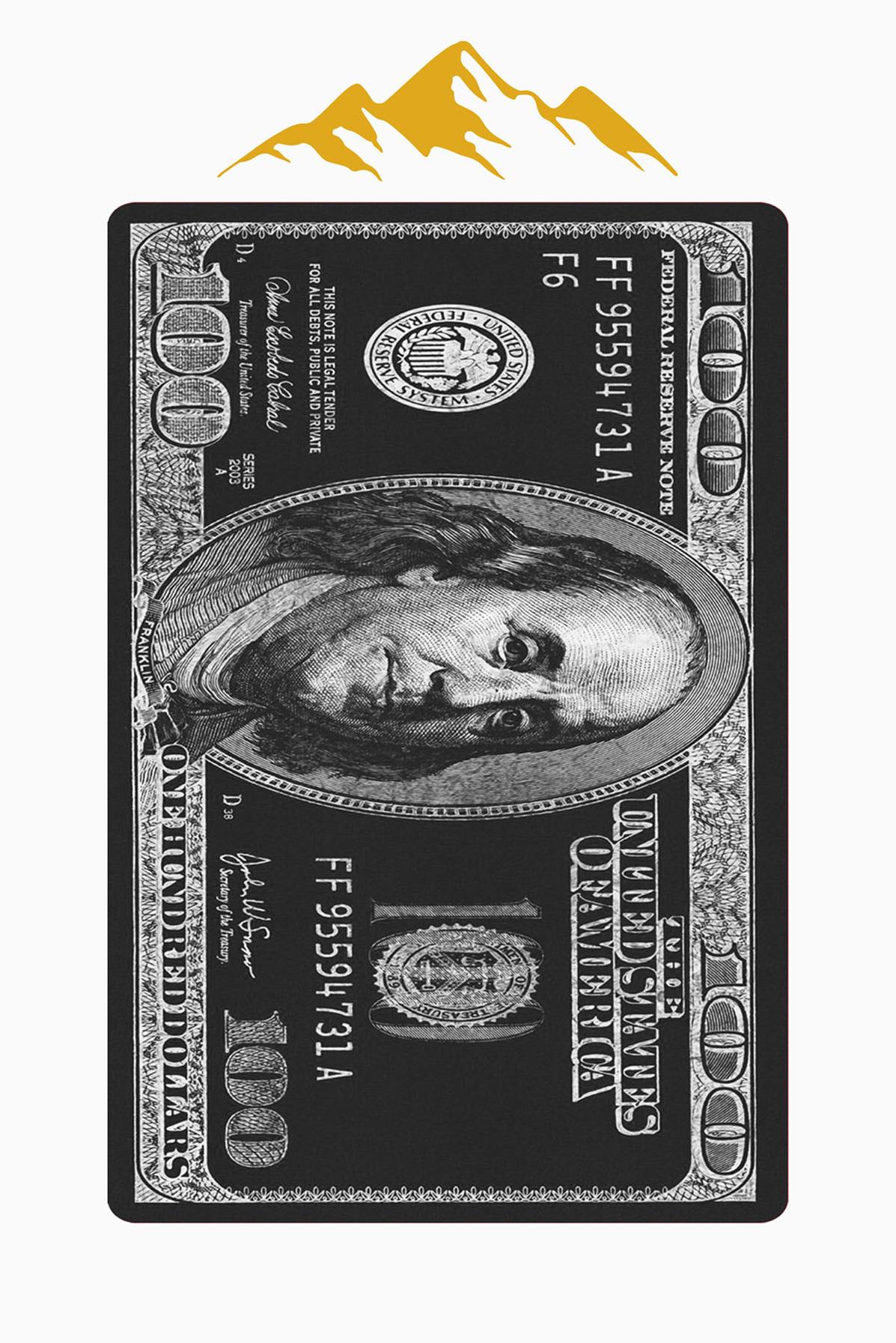 Modern Dolar Desen Dijital Baskı Kaymaz Taban Halı H0169