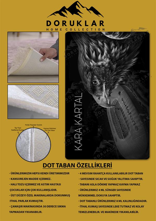 Kaymaz Taban Makinada Yıkanabilir Dijital Baskı Kara Kartal Desenli Genç ve Çocuk Odası Halısı