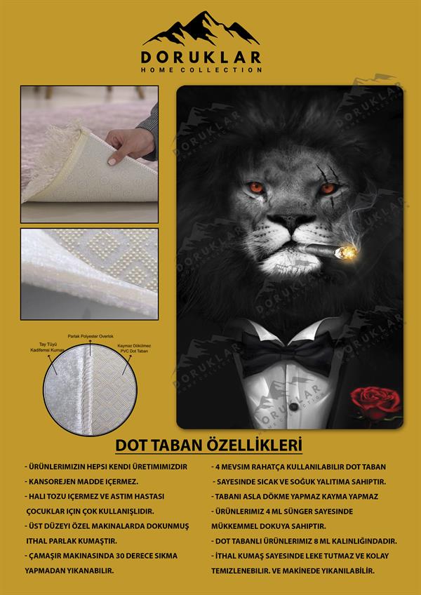 Kaymaz Taban Makinada Yıkanabilir Dijital Baskı Aslan Desenli Genç Odası Halısı