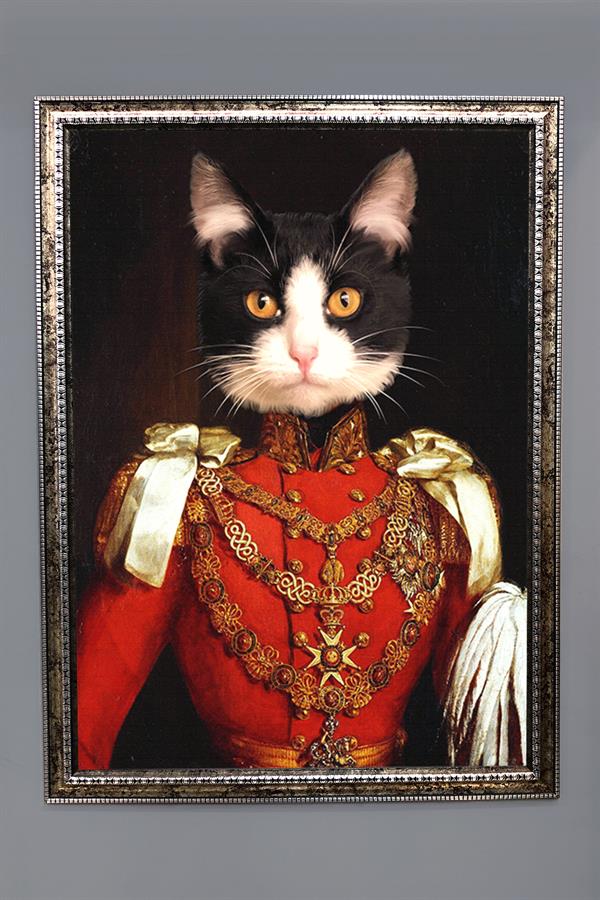 Kedi Tablosu Portresi 50x70CM