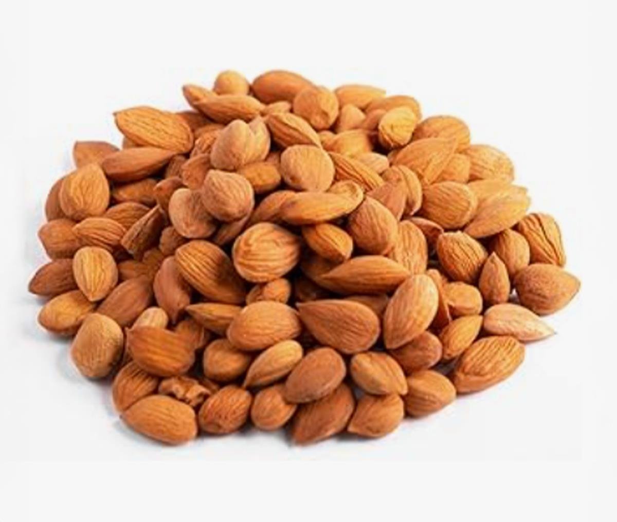 Kayısı çekirdeği